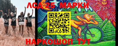 молекула духа Кулебаки