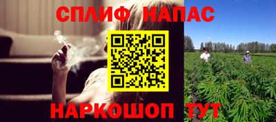 молекула духа Кулебаки