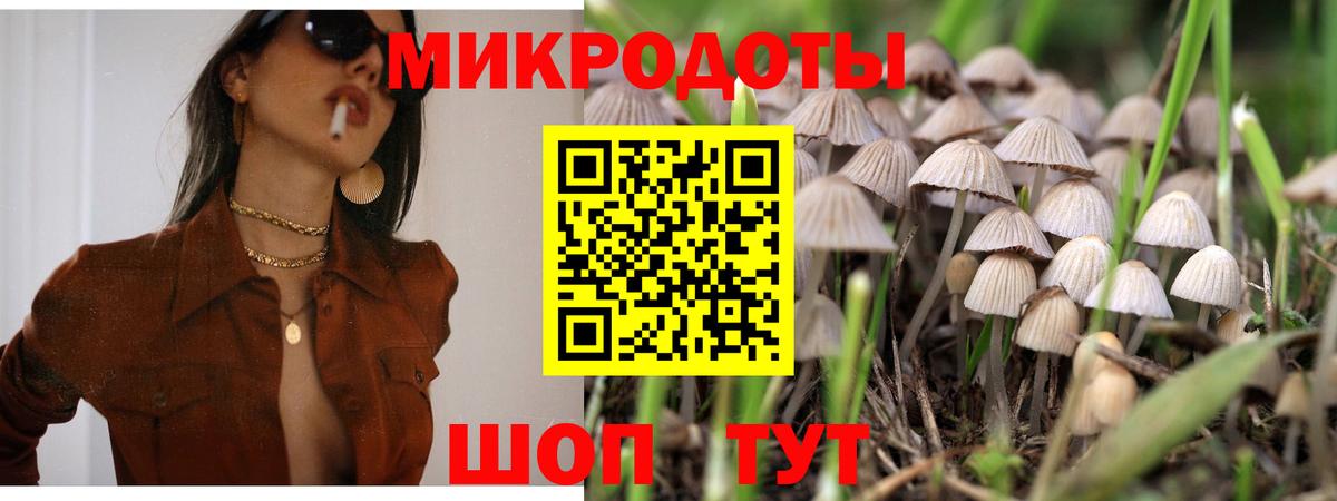 Галлюциногенные грибы мухоморы Горно-Алтайск